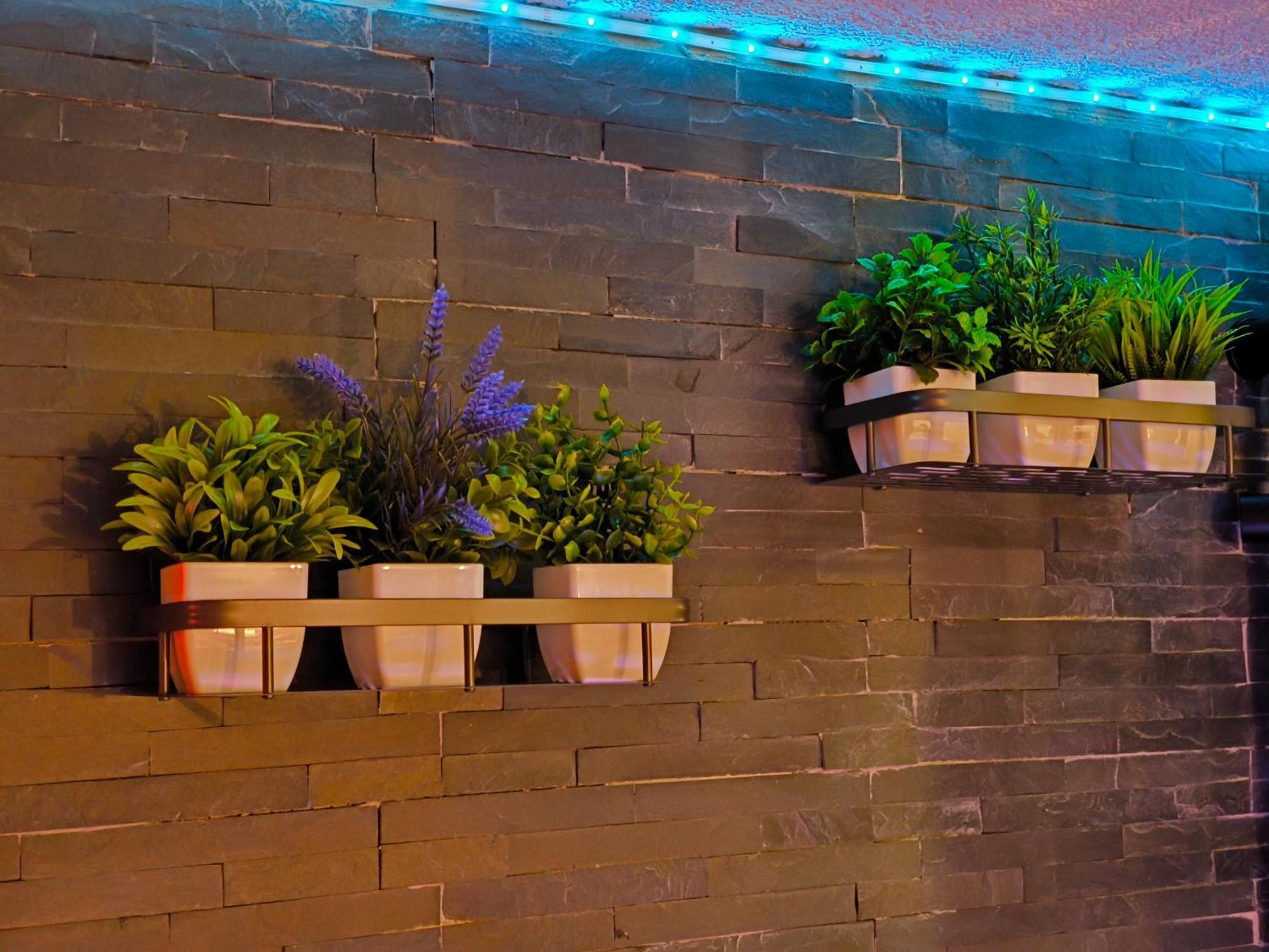 Love-Room Discret 40 M2 Bormes Les Mimosas Village Avec Terrasse エクステリア 写真